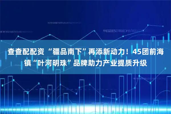 查查配配资 “疆品南下”再添新动力！45团前海镇“叶河明珠”品牌助力产业提质升级