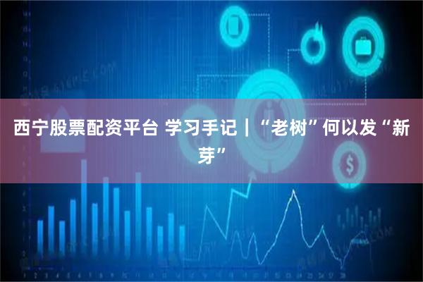 西宁股票配资平台 学习手记｜“老树”何以发“新芽”